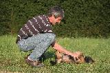 TEST DE CONTRAINTE